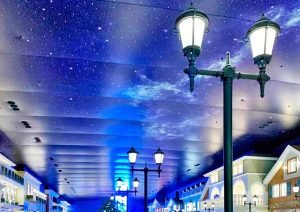 art-ceilings